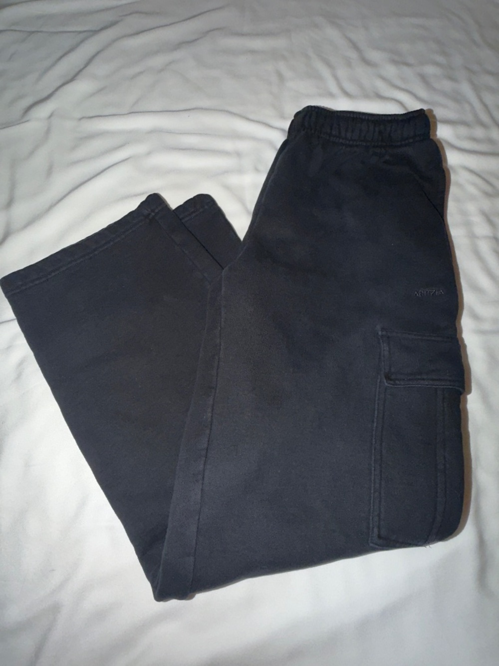 ARITZIA Cargo Sweatpants